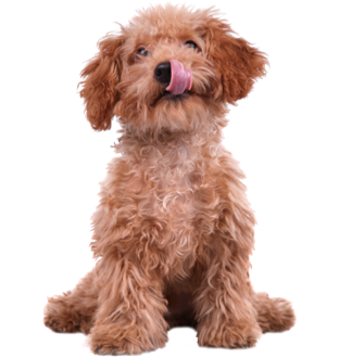 istock 157695193