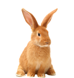 istock 518322790