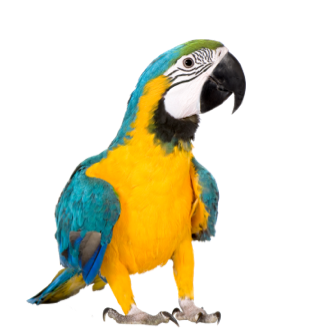 istock 93214101